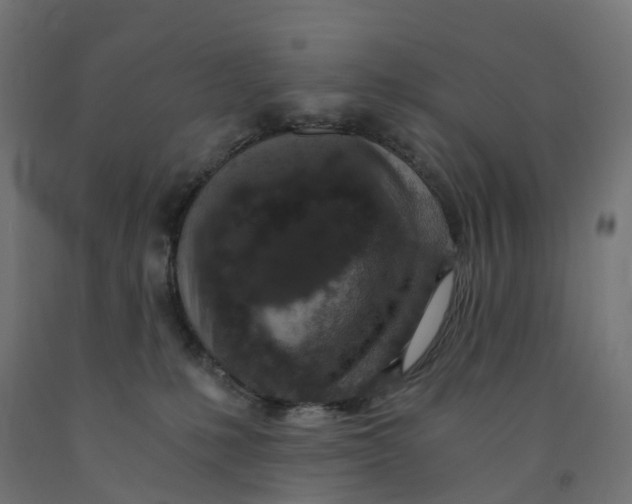 X0000091900231200710031828