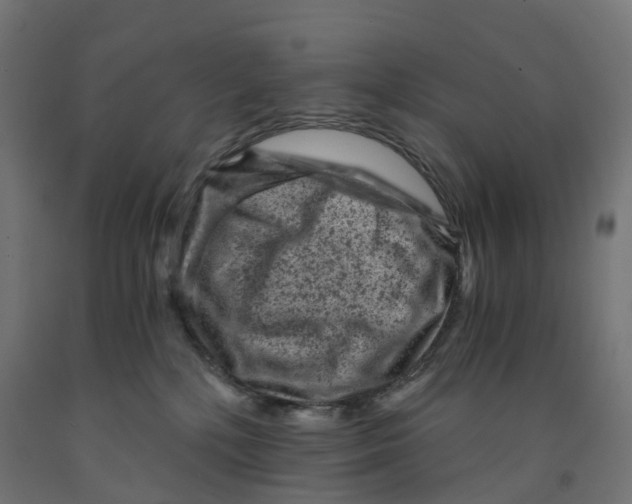 X0000091900232200710031828