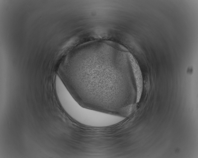 X0000091900233200710031828