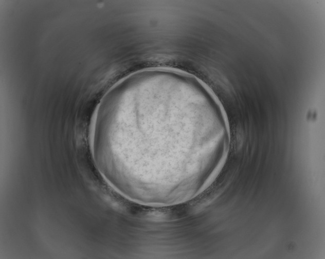 X0000091900236200710031828