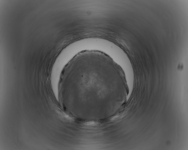 X0000091900237200710031828