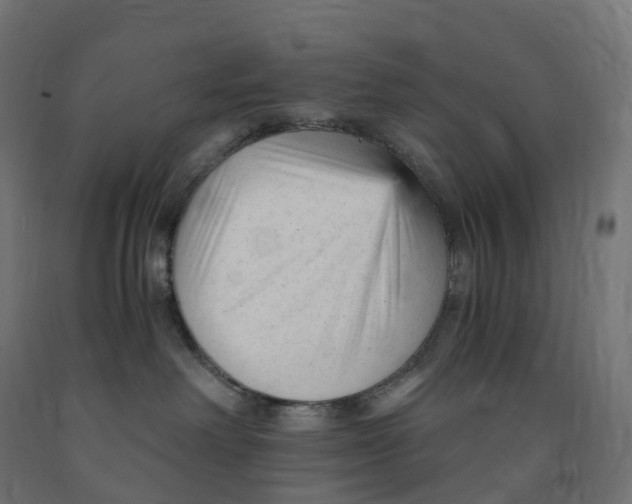 X0000091900238200710031828