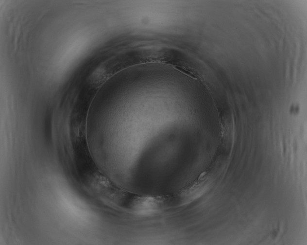 X0000091900239200710031828