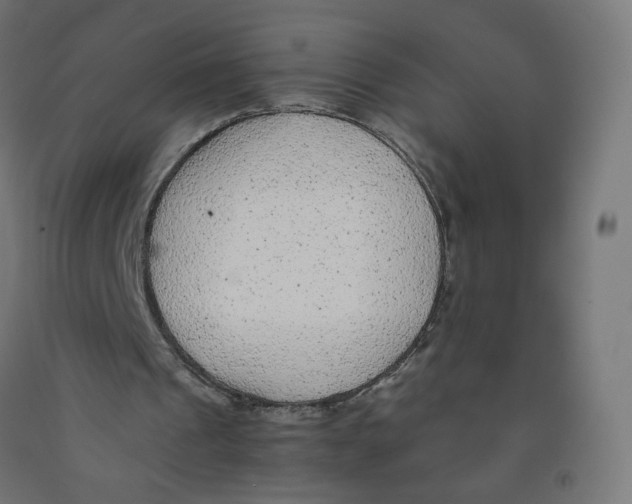 X0000091900241200710031827