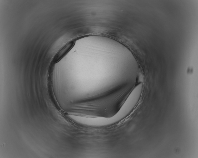 X0000091900242200710031827