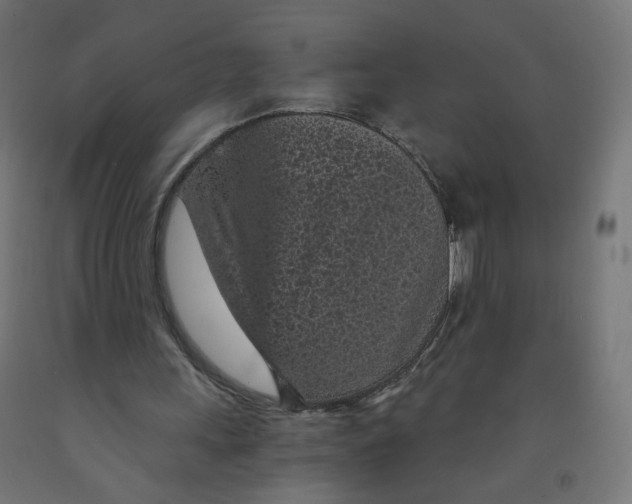 X0000091900243200710031827