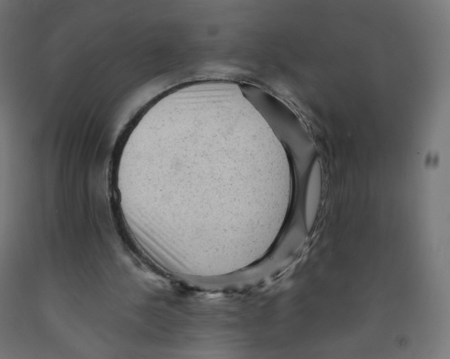 X0000091900244200710031827