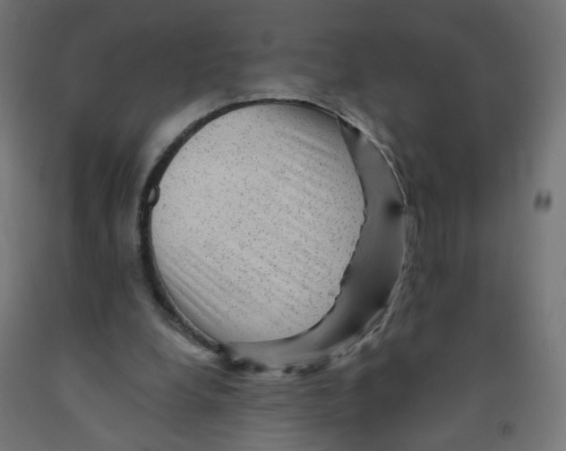 X0000091900248200710031827