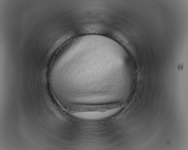 X0000091900250200710031827