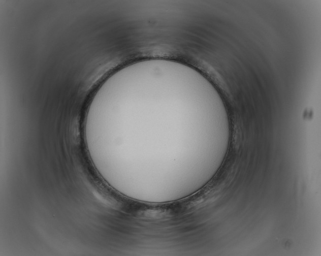 X0000091900251200710031828