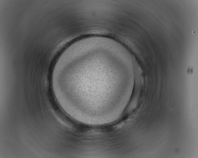 X0000091900252200710031828