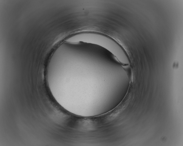 X0000091900253200710031828