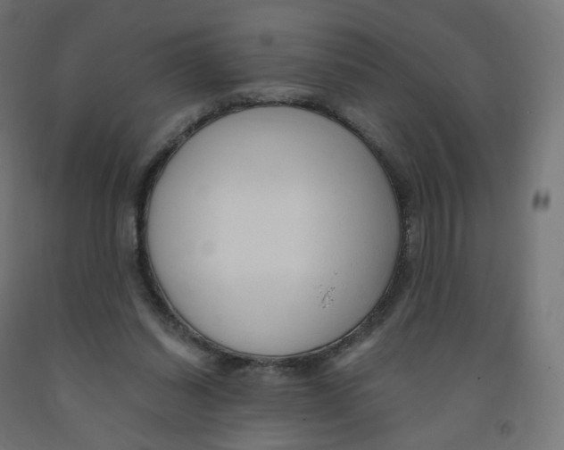 X0000091900254200710031828