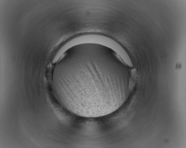 X0000091900256200710031828