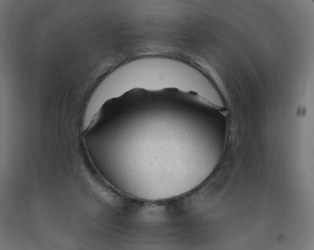 X0000091900257200710031828