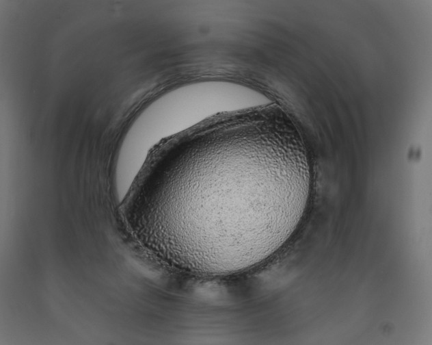 X0000091900258200710031828