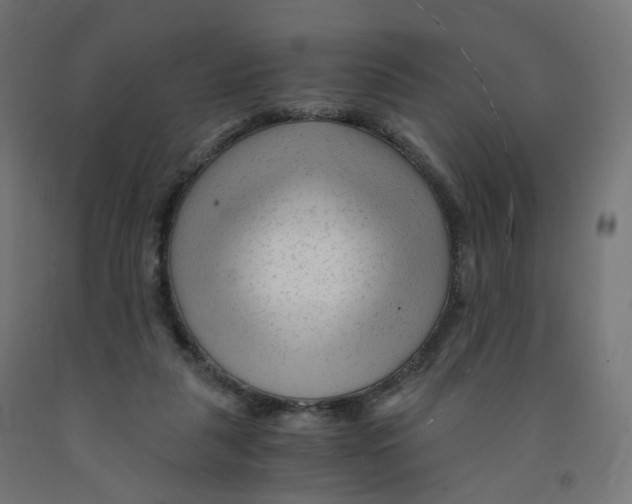 X0000091900259200710031828