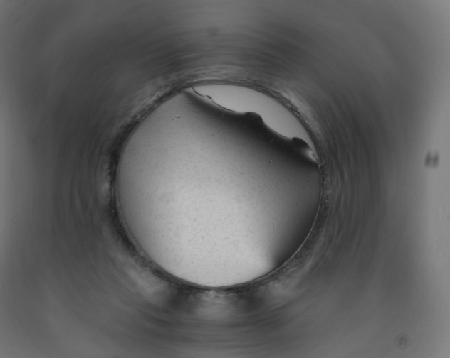 X0000091900261200710031828