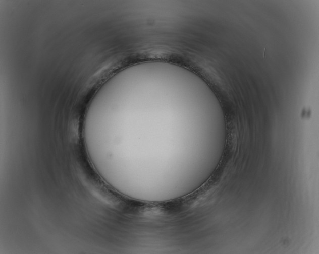 X0000091900262200710031828