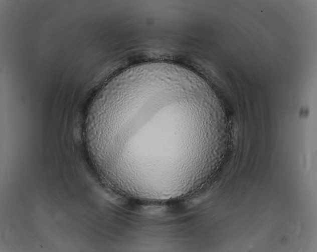 X0000091900266200710031828