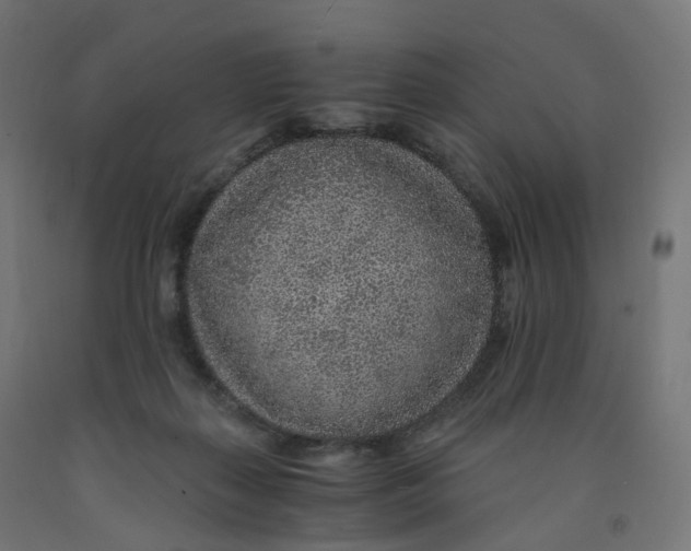 X0000091900267200710031828