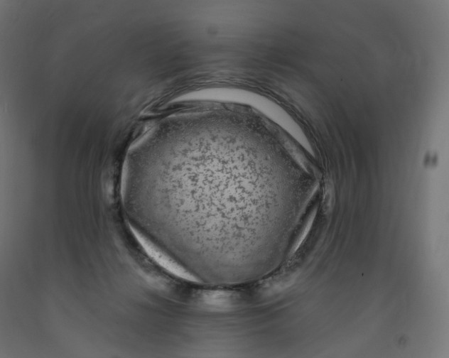 X0000091900268200710031828