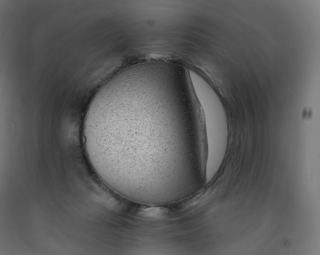 X0000091900269200710031828