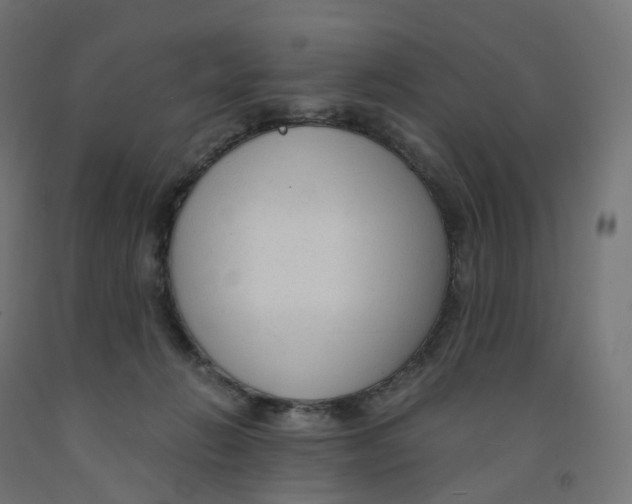 X0000091900270200710031828