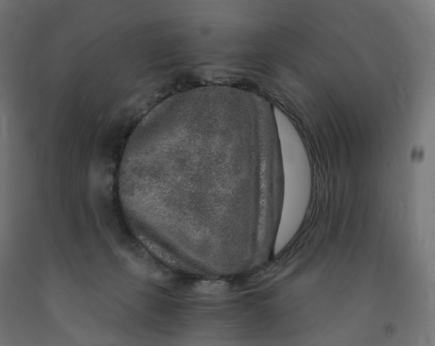 X0000091900271200710031828