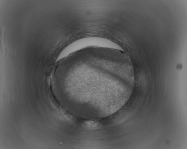 X0000091900272200710031828