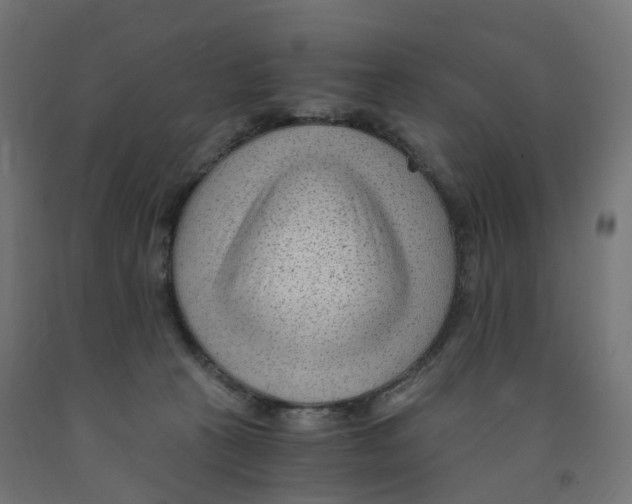 X0000091900273200710031828