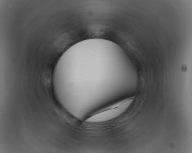 X0000091900274200710031828