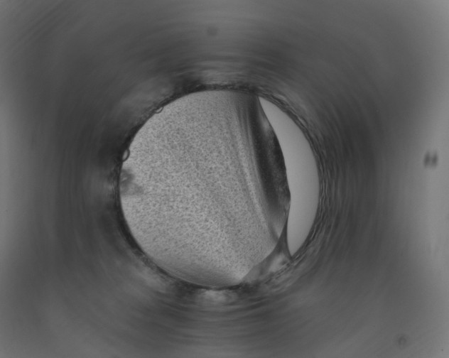 X0000091900277200710031828