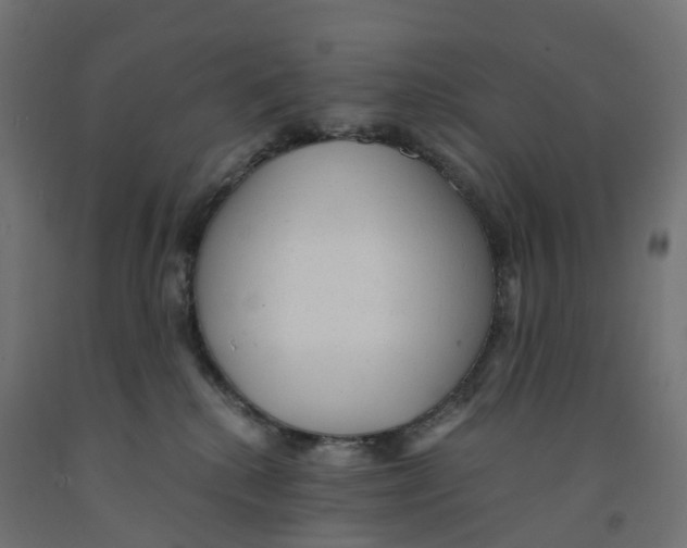 X0000091900280200710031828