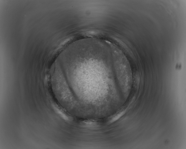 X0000091900284200710031828