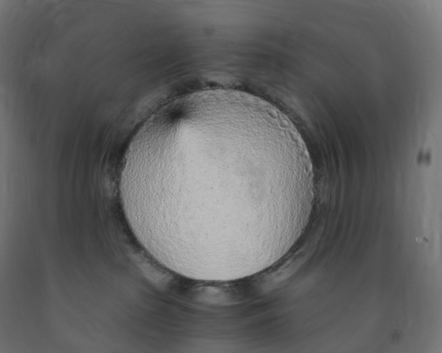 X0000091900285200710031828