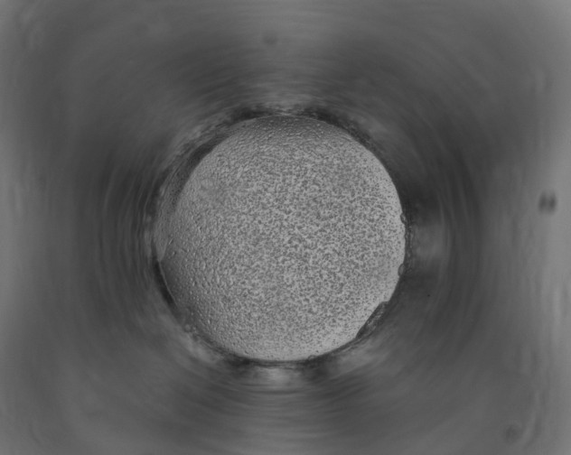 X0000091900286200710031828