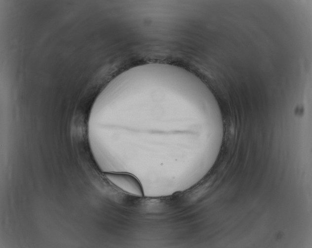 X0000091900287200710031828