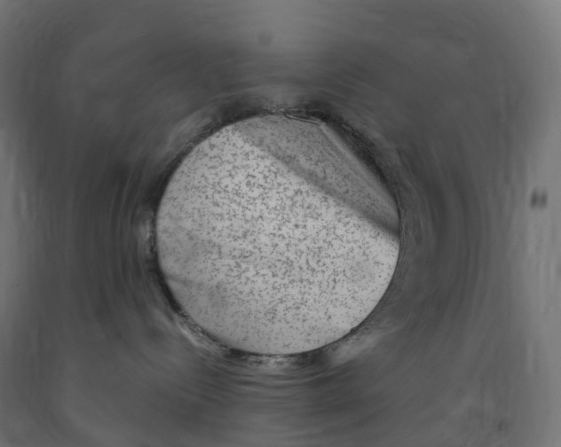 X0000091900288200710031828