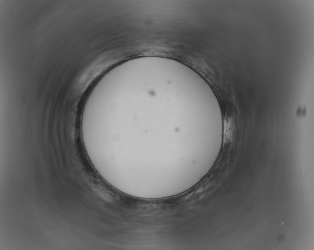 X0000091900291200710031827