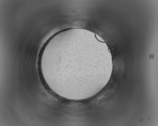 X0000091900292200710031827