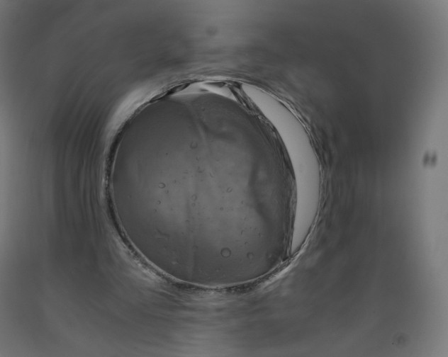 X0000091900293200710031827