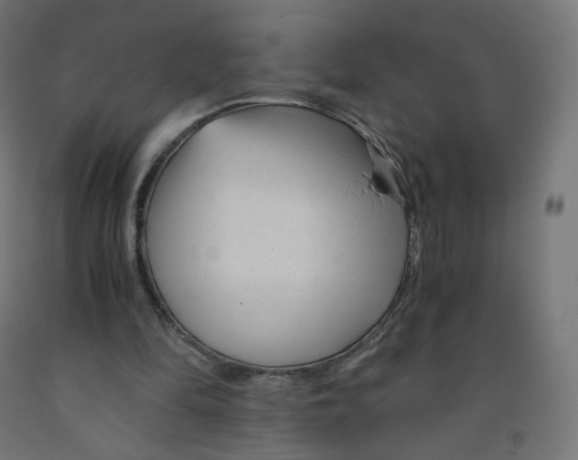 X0000091900294200710031827