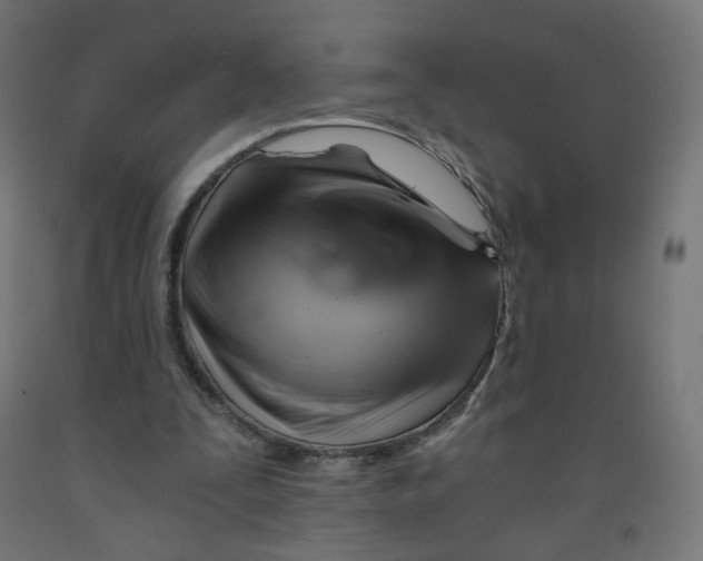 X0000091900295200710031827