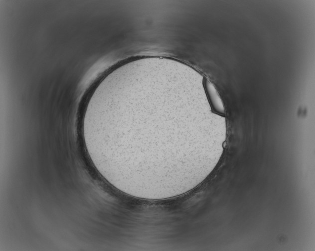 X0000091900296200710031827