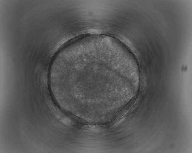 X0000091900297200710031827