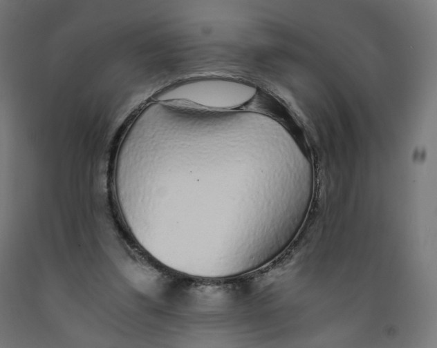 X0000091900299200710031827