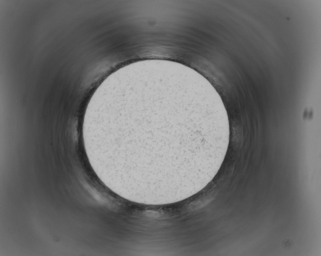 X0000091900302200710031827