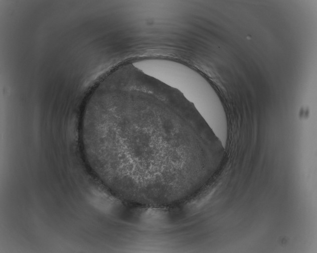 X0000091900303200710031827