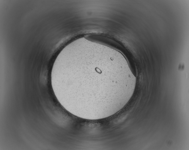 X0000091900304200710031827